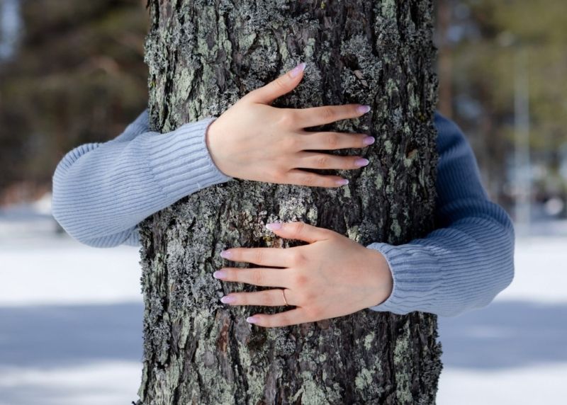 Mäntyä halaavat käsivarret. Männynhalaajalla on vaaleansininen villapaita ja vaaleansinistä kynsilakkaa. Taustalla näkyy sumennettuna lumen peittämää metsänpohjaa, johon paistaa aurinko, sekä kuusipuita.