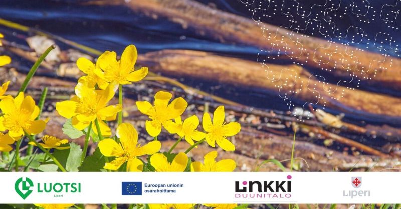 Maisemakuva, jossa kukkia.