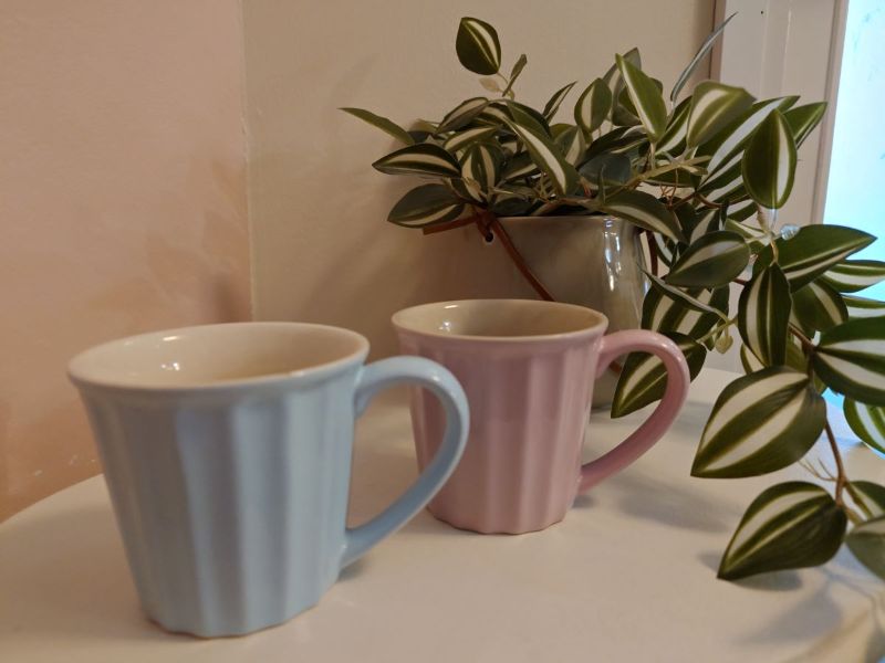 Kuvituskuva. Pöydällä on kaksi kahvikuppia ja niiden taustalla viherkasvi.