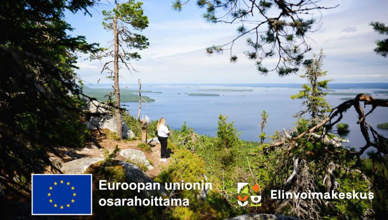 Kuvituskuva, maisema. Euroopan unioin osarahoittama. Elinvoimakeskus.