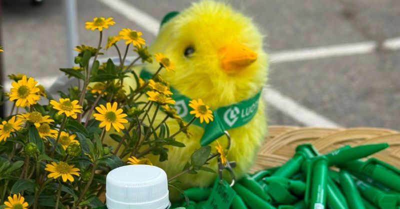 Luotsin kyniä, kukkia, Toimi-tipu ja kaulanauha.