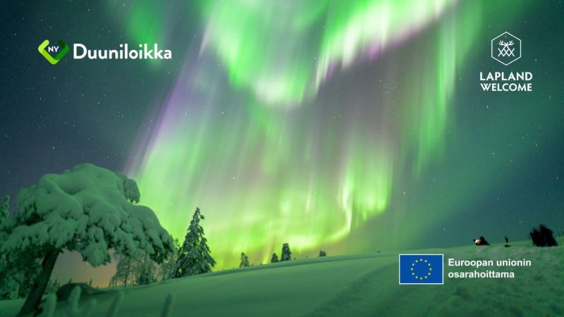 Revontulet lumisessa talvimaisemassa.