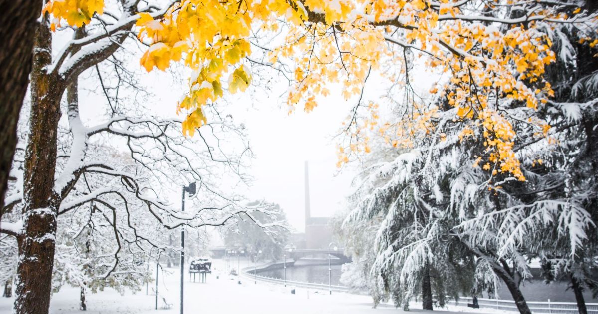 ty-kyvyll-tuloksiin-ylivieska-current-issues-job-market-finland